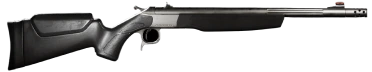 Scout Rifle TD